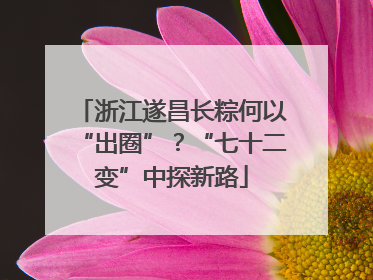 浙江遂昌长粽何以“出圈”？“七十二变”中探新路
