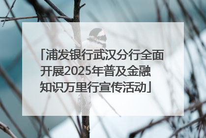 浦发银行武汉分行全面开展2025年普及金融知识万里行宣传活动
