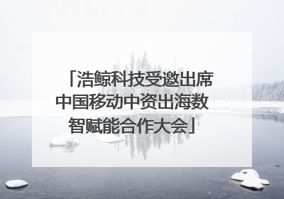 浩鲸科技受邀出席中国移动中资出海数智赋能合作大会
