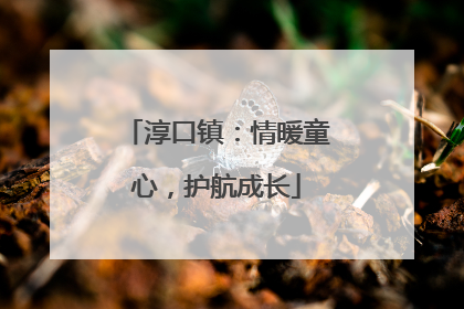 淳口镇：情暖童心，护航成长