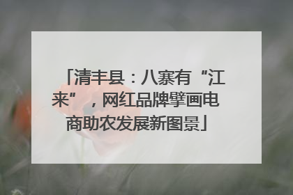 清丰县：八寨有“江来”，网红品牌擘画电商助农发展新图景