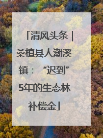 清风头条｜桑植县人潮溪镇：“迟到”5年的生态林补偿金