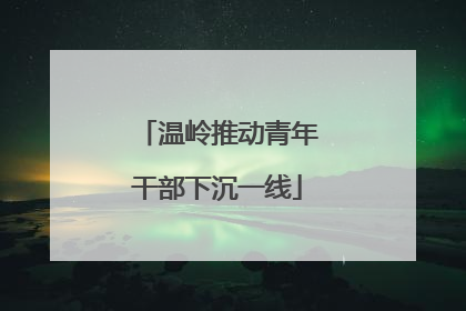温岭推动青年干部下沉一线
