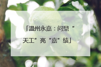 温州永嘉：问鼎“天工”亮“嘉”绩