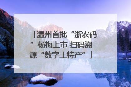 温州首批“浙农码”杨梅上市 扫码溯源“数字土特产”