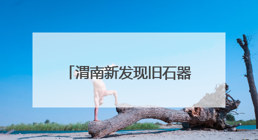 渭南新发现旧石器遗址100余处 实证秦岭北麓百万年人类生存演化史