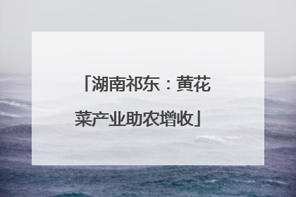 湖南祁东：黄花菜产业助农增收