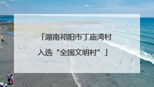 湖南祁阳市丁庙湾村入选“全国文明村”