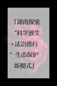 湖南探索“科学放生+法治善行”生态保护新模式