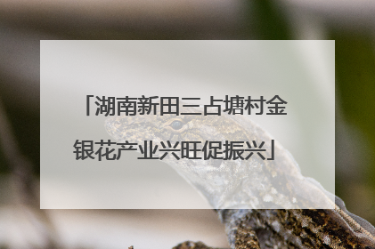 湖南新田三占塘村金银花产业兴旺促振兴