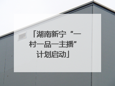 湖南新宁“一村一品一主播”计划启动