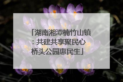 湖南湘潭楠竹山镇：共建共享聚民心 桥头公园惠民生