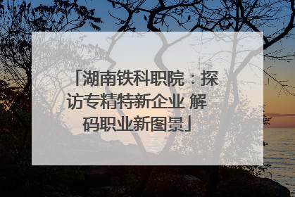 湖南铁科职院：探访专精特新企业 解码职业新图景