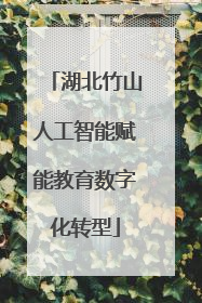 湖北竹山人工智能赋能教育数字化转型