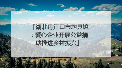 湖北丹江口市均县镇：爱心企业开展公益捐助推进乡村振兴