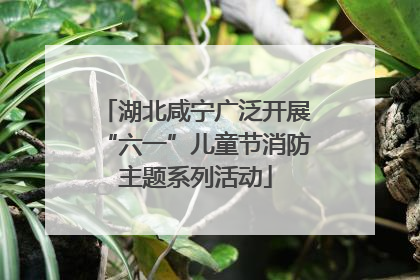 湖北咸宁广泛开展“六一”儿童节消防主题系列活动