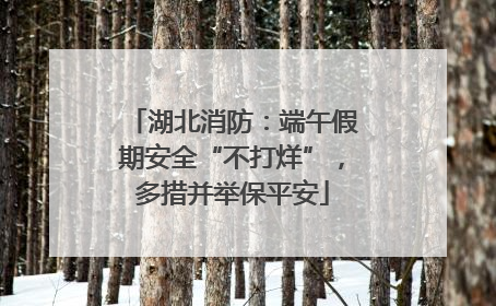 湖北消防：端午假期安全“不打烊”，多措并举保平安