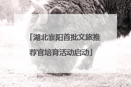 湖北襄阳首批文旅推荐官培育活动启动