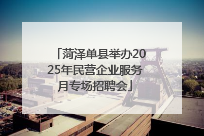 菏泽单县举办2025年民营企业服务月专场招聘会