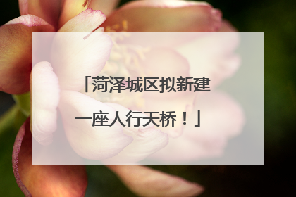 菏泽城区拟新建一座人行天桥！