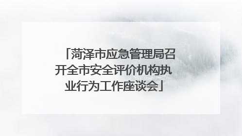 菏泽市应急管理局召开全市安全评价机构执业行为工作座谈会
