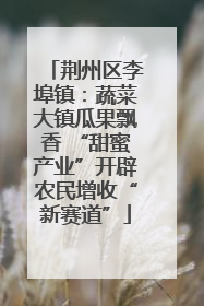荆州区李埠镇：蔬菜大镇瓜果飘香 “甜蜜产业”开辟农民增收“新赛道”