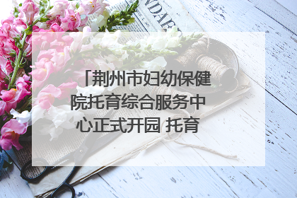 荆州市妇幼保健院托育综合服务中心正式开园 托育宣传月同步启动