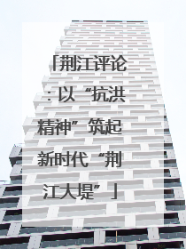 荆江评论：以“抗洪精神”筑起新时代“荆江大堤”