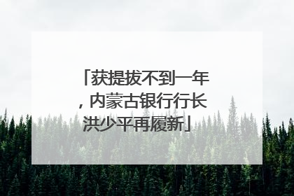 获提拔不到一年，内蒙古银行行长洪少平再履新