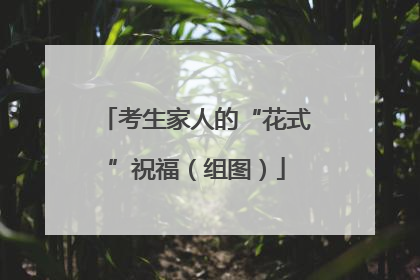 考生家人的“花式”祝福（组图）