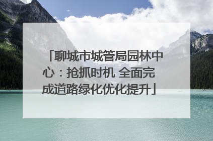 聊城市城管局园林中心：抢抓时机 全面完成道路绿化优化提升