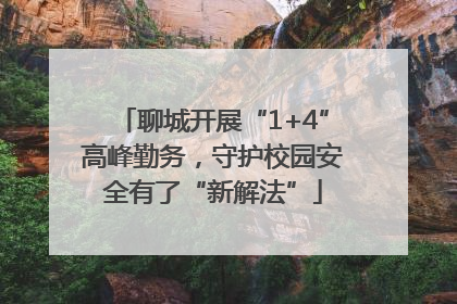 聊城开展“1+4”高峰勤务，守护校园安全有了“新解法”