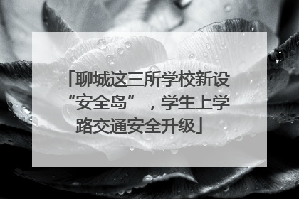 聊城这三所学校新设“安全岛”，学生上学路交通安全升级