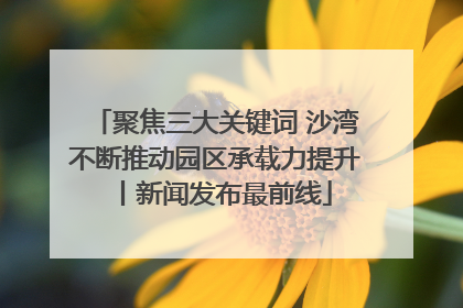 聚焦三大关键词 沙湾不断推动园区承载力提升丨新闻发布最前线