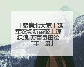 聚焦北大荒丨延军农场新苗破土铺绿浪 万亩良田绘“丰”景