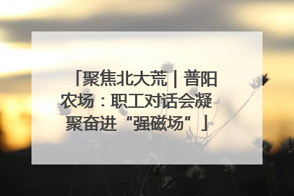 聚焦北大荒｜普阳农场：职工对话会凝聚奋进“强磁场”