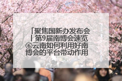 聚焦国新办发布会丨第9届南博会速览⑥云南如何利用好南博会的平台带动作用，深化与南亚国家的交流与合作？