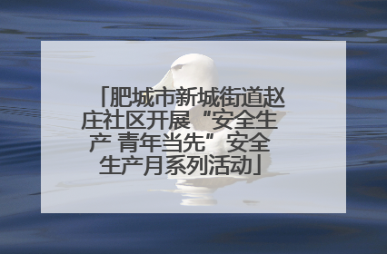 肥城市新城街道赵庄社区开展“安全生产 青年当先”安全生产月系列活动