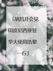 胡昌升会见印度尼西亚驻华大使周浩黎一行
