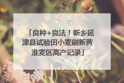 良种+良法！新乡延津县试验田小麦刷新黄淮麦区高产记录