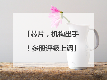 芯片，机构出手！多股评级上调