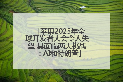 苹果2025年全球开发者大会令人失望 其面临两大挑战：AI和特朗普