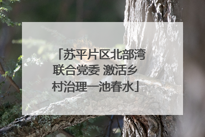 苏平片区北部湾联合党委 激活乡村治理一池春水