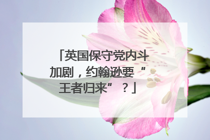 英国保守党内斗加剧，约翰逊要“王者归来”？