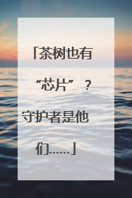 茶树也有“芯片”？守护者是他们……