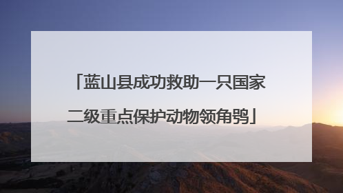 蓝山县成功救助一只国家二级重点保护动物领角鸮