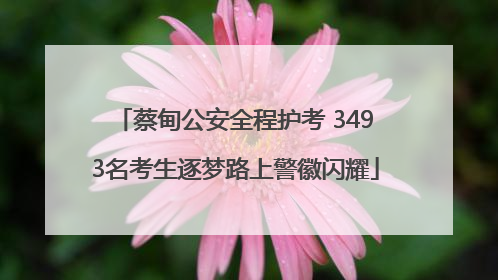 蔡甸公安全程护考 3493名考生逐梦路上警徽闪耀