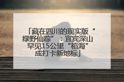 藏在四川的现实版“绿野仙踪”：宜宾深山罕见15公里“稻海”成打卡新地标