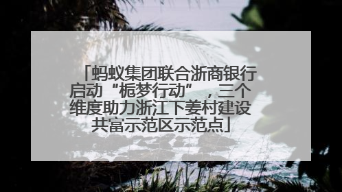 蚂蚁集团联合浙商银行启动“栀梦行动”，三个维度助力浙江下姜村建设共富示范区示范点