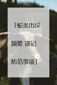 蛇类出没频繁 谨记防范事项